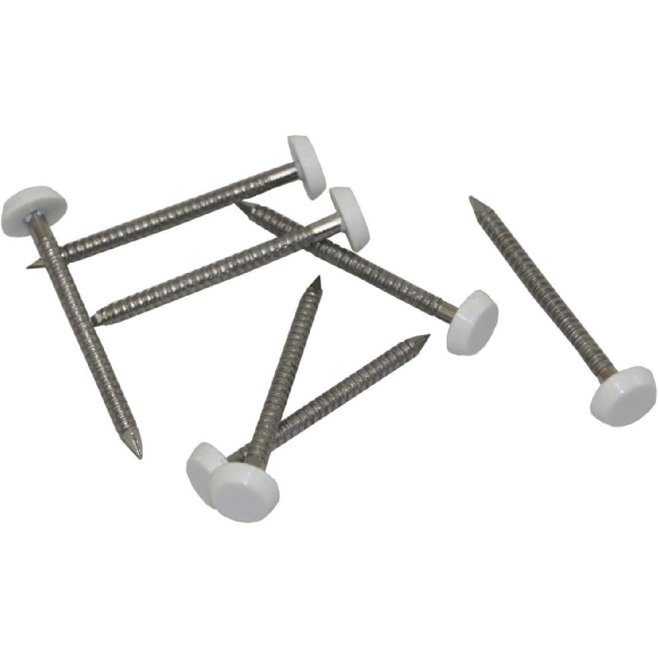 Rawlplug 'T-Gpa' Polymer Top Stainless Steel Nails 2.1 X 40Mm, White (Box of 250)
